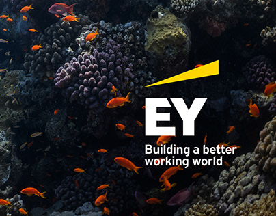 Concept Report for EY