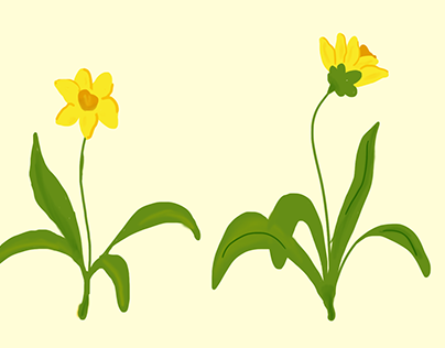 Daffodil Flower Character Design