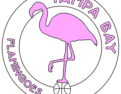 Tampa Bay Flamingoes