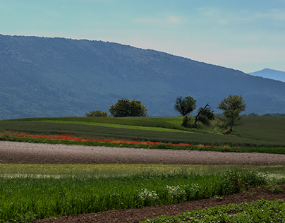 campi d'Abruzzo