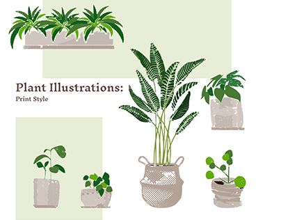 Plant Illustrations : Print Style