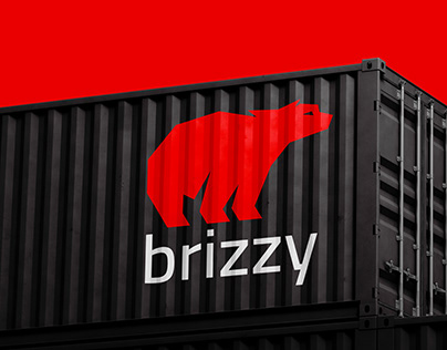 brizzy - corporate identity