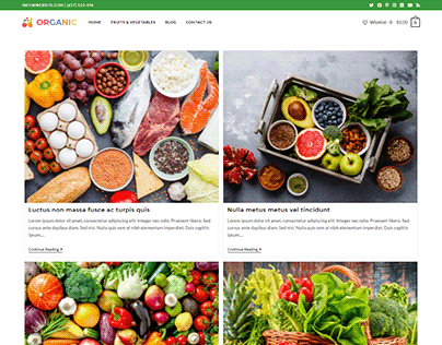 Organic Food Store - Product