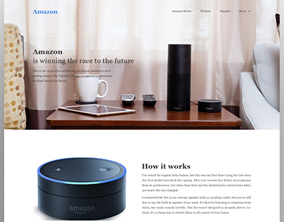 Amazon is Winning - Landing Page Concept