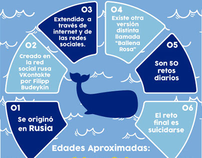 Blue Whale Infographic/ La ballena azul