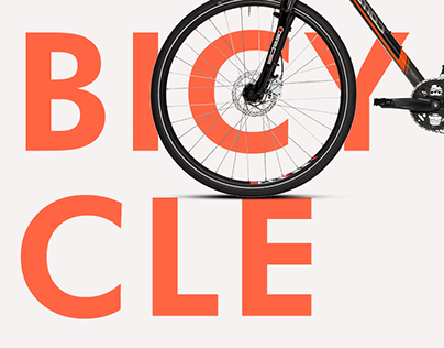 Bicycle online store / Bike store