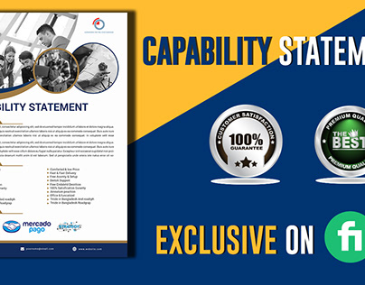 professional and effective capability statement