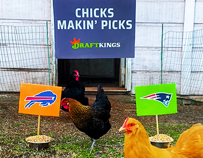 DraftKings Chicks Makin' Picks
