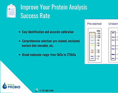Improve your Protein Analysis Success Rate