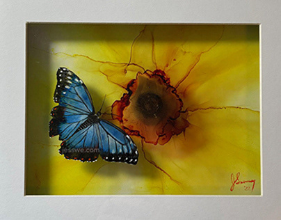 Nature Shadows, Blue Butterfly on yellow