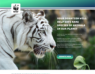 WWF - website design (UX/UI) , email template