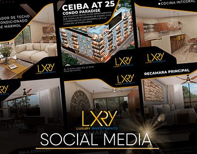 Social Media Luxury Investments