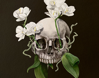 Skull orchid