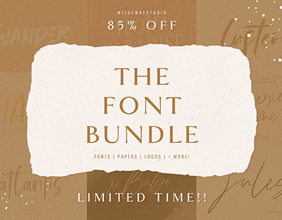 The Font Bundle by Wilde Mae Studio