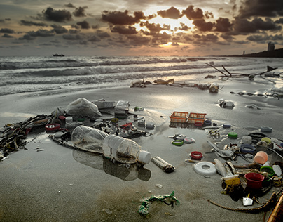 Los Océanos: Retrato de un Ecosistema en Riesgo