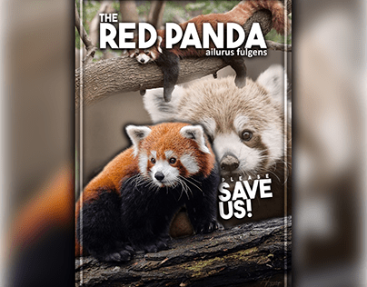 Endangered Animals Poster Design (Red Panda)