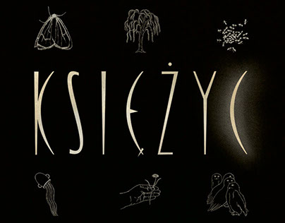 Poster for the band Księżyc