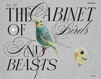 Birds Poster No1
