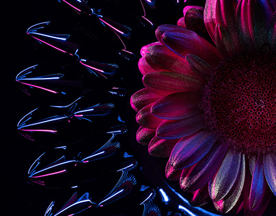Ferro Flowers | Desktopography 2020