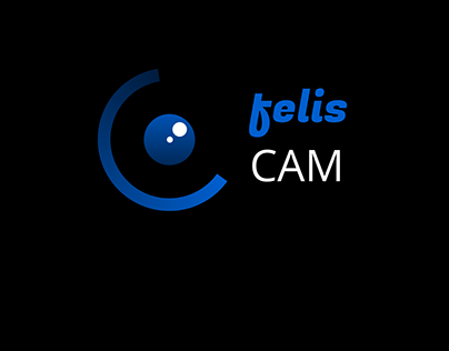 felisCAM : A friendly security camera for homes