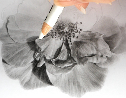 Realistic drawing of a flower