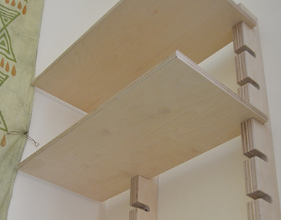 Wall mounted shelves