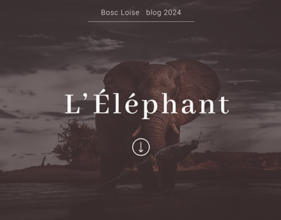 Prototype Blog Éléphants