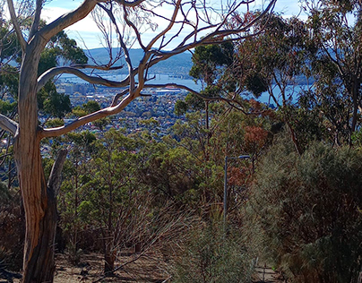 River Derwent and Hobart from Mt Nelson