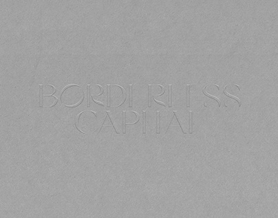 Borderless Capital (Concept)