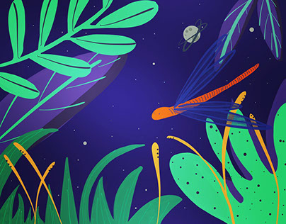 Night in the Jungle Illustrations