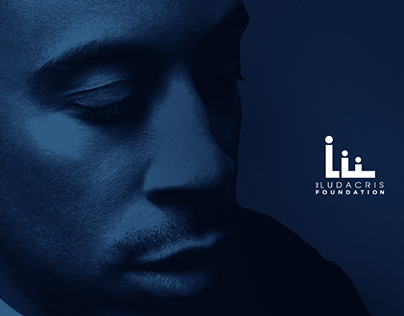 The Ludacris Foundation Media Kit