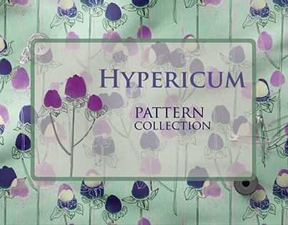 Hypericum. Pattern collection