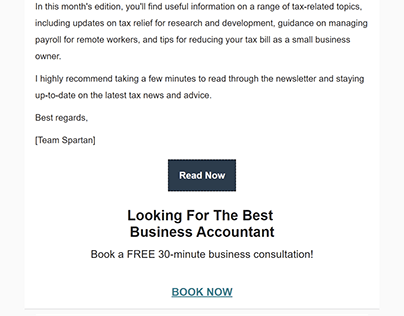 Accountant Company Email Newsletter