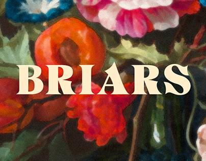 Briars Revival Typeface