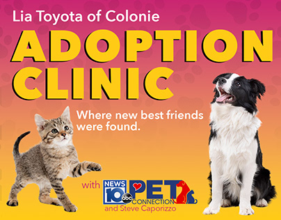 Lia Toyota of Colonie Adoption Clinic Branding