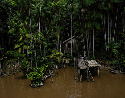 FLUXO a month along the Amazon river