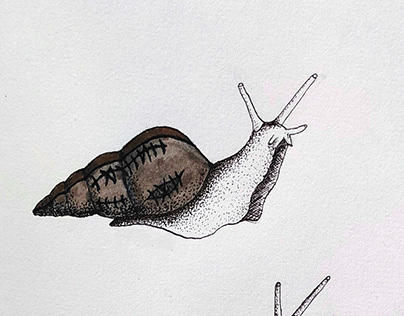 snails tattoo projects
