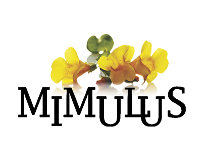 Mimulus