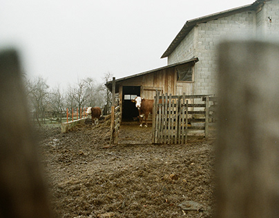 Selo Trnava, Zapadna Srbija (09.12.2023)