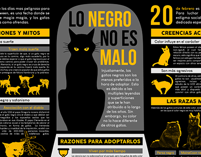 Infografía sobre los gatos negros