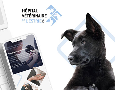 2022 | Hôpital Vétérinaire de l'Estrie