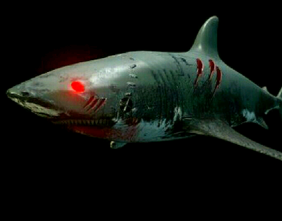 Tiburón ojos rojos
