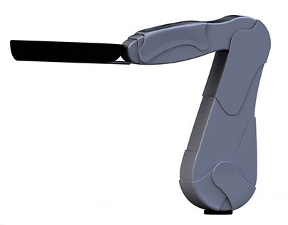 Appearance of a dynamic arm support