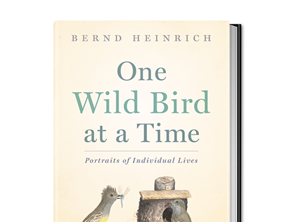 Bernd Heinrich — ONE WILD BIRD