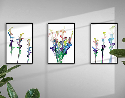 Florescence | triple picture frame