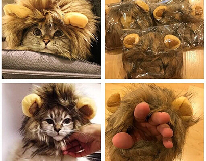 9 Cat Halloween Costumes – Comfortable and Appealing