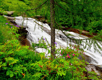 Wasserfall bei Bosco Gurin Tessin