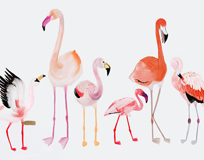 Flamingos - Julia Gnatyuk