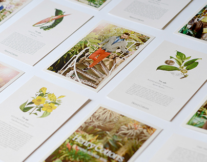 Henry Cotton's: Brand identity and promotional material