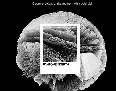 Capture colors of the moment with polaroid